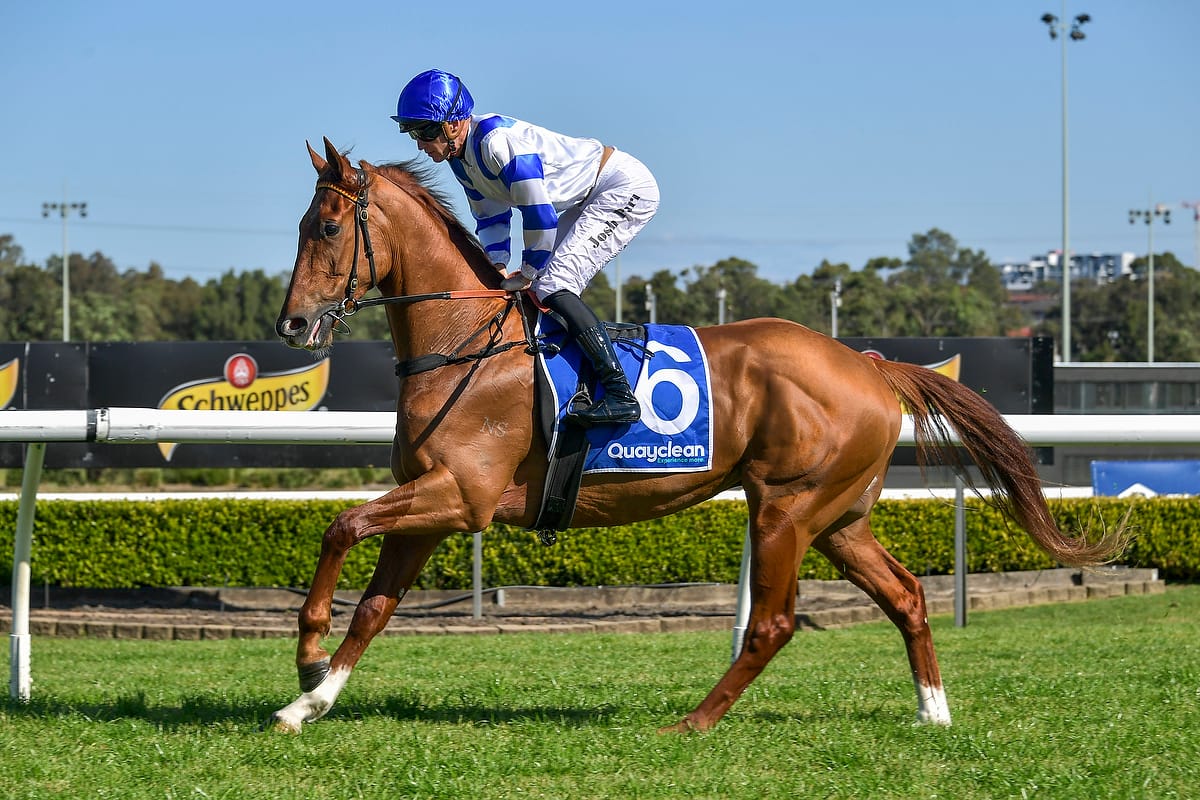 Proisir’s My Truth in strong all-the-way win