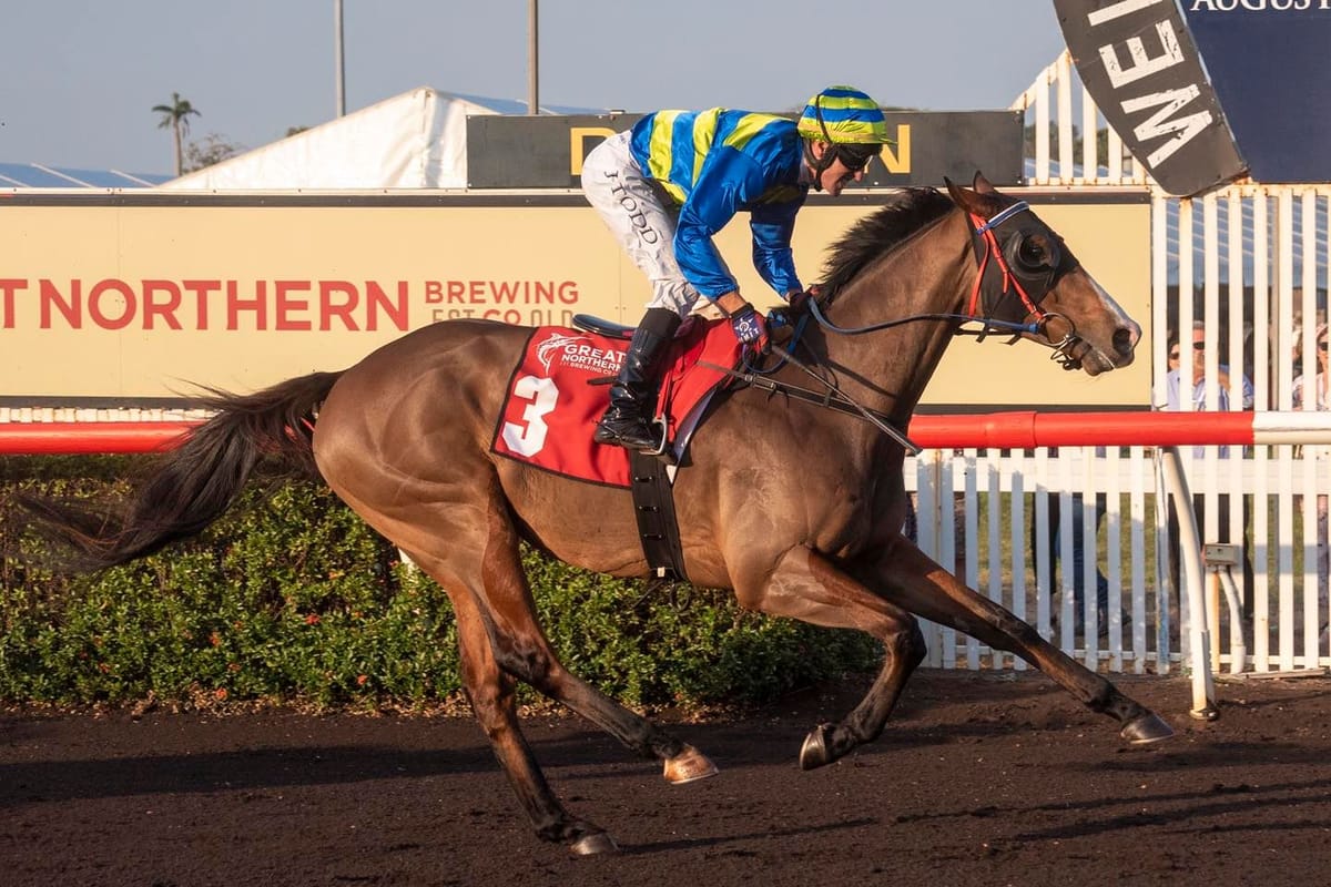 NZ Breds Quinella Darwin Cup