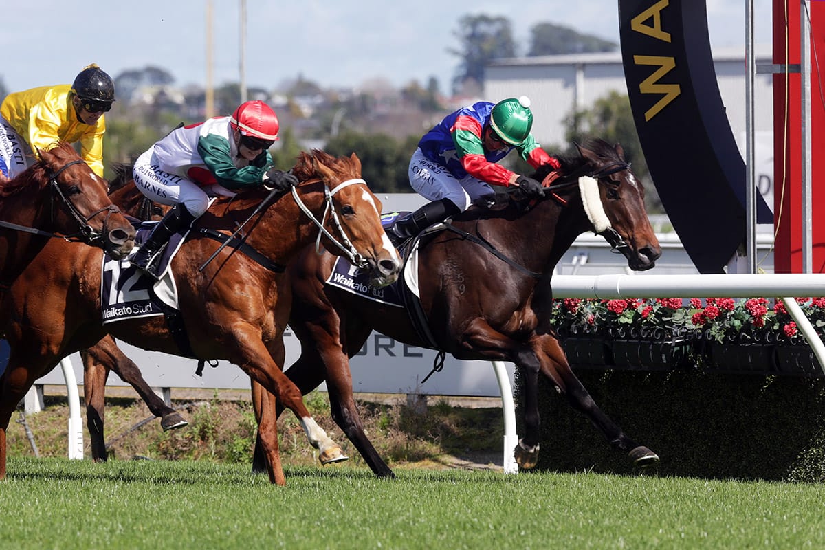 Shez Shamus brings joy for large group with Te Rapa victory