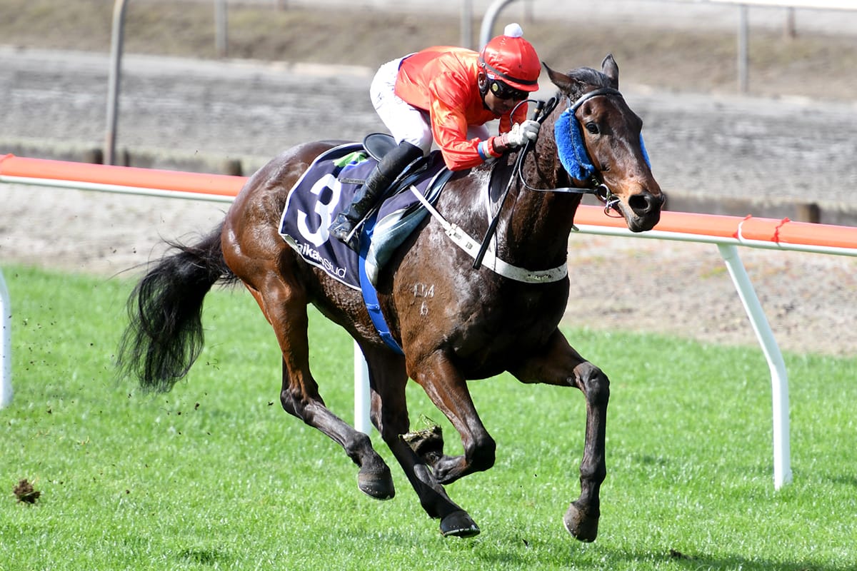 Timberlake on song for Awapuni