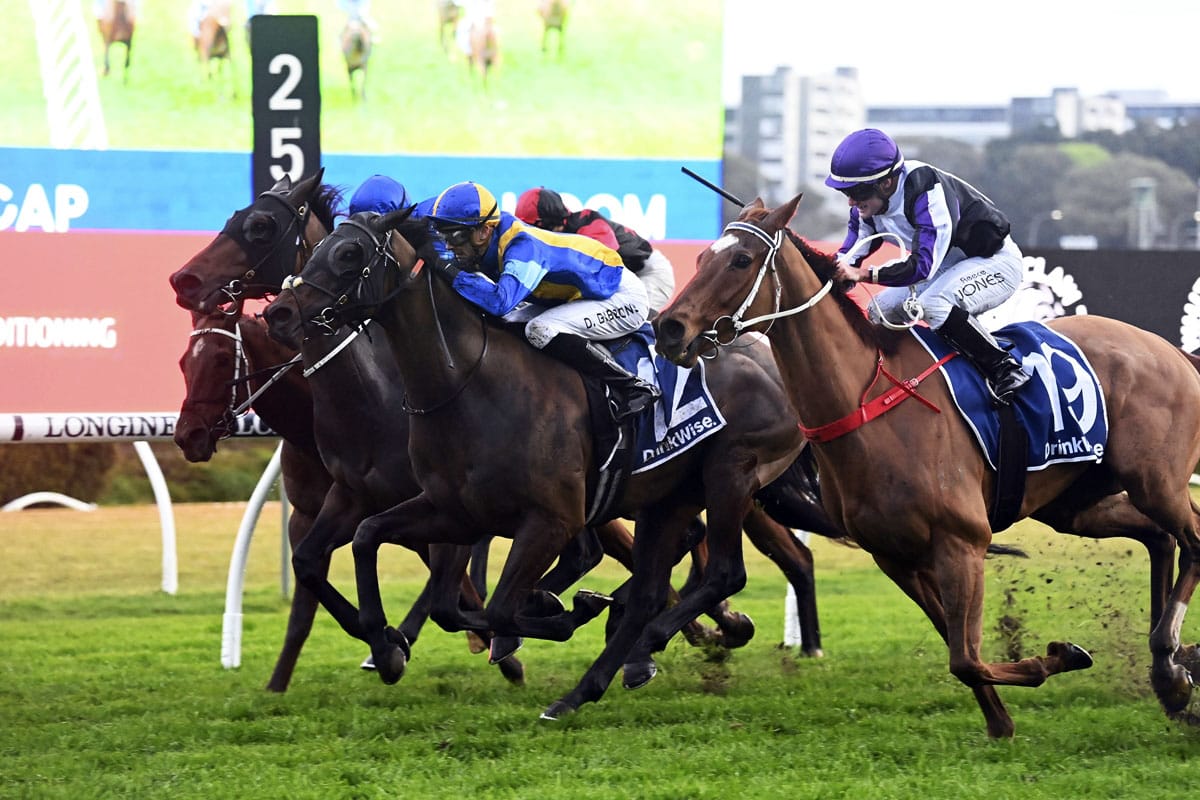 Gutsy Randwick win for Kiss The Bride