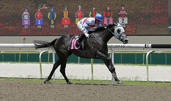 Exciting times ahead for Cash Cove