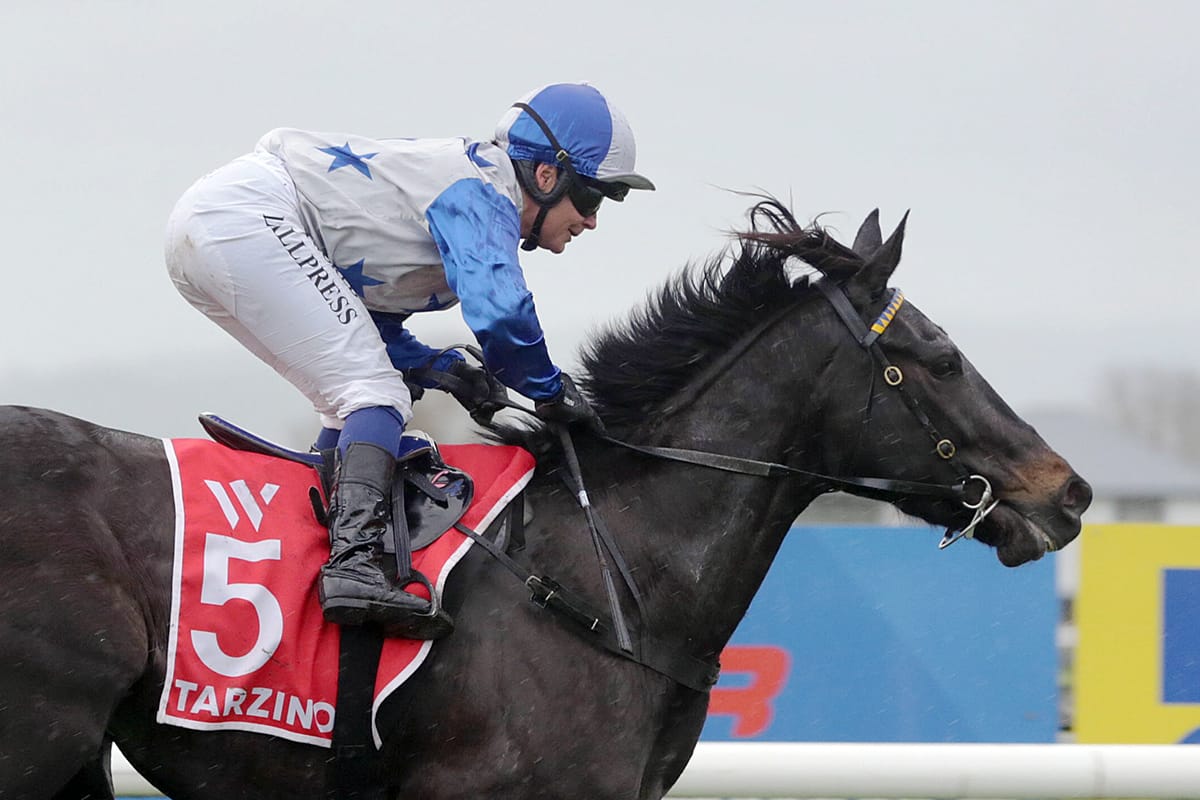 Dark Destroyer ruled out of Arrowfield Stud Plate