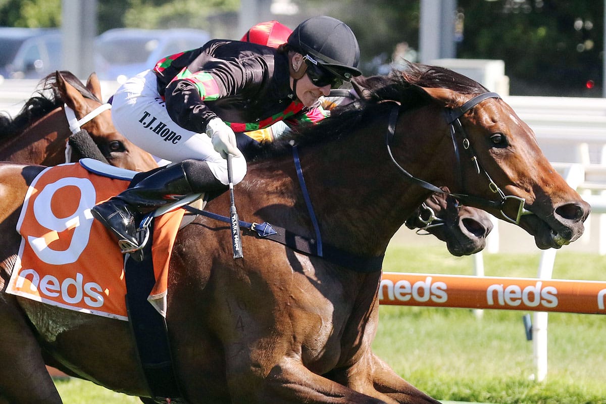 Group One homecoming for Defibrillate