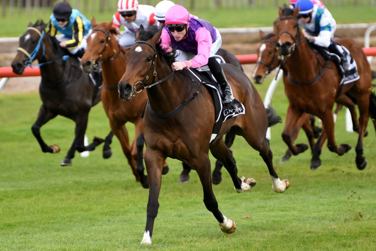 2000 Guineas pipe-dream alive and well for Denby Road