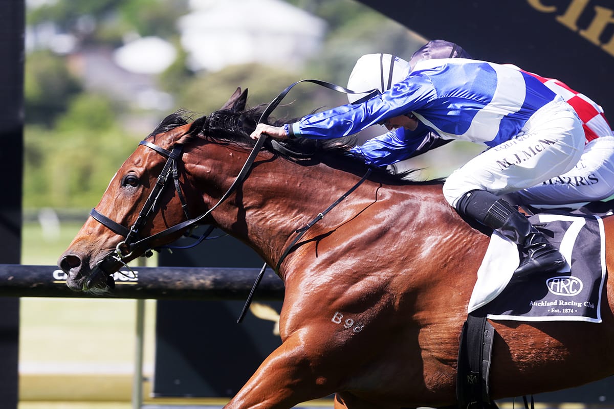 Hastings feature still in mix for experienced traveller