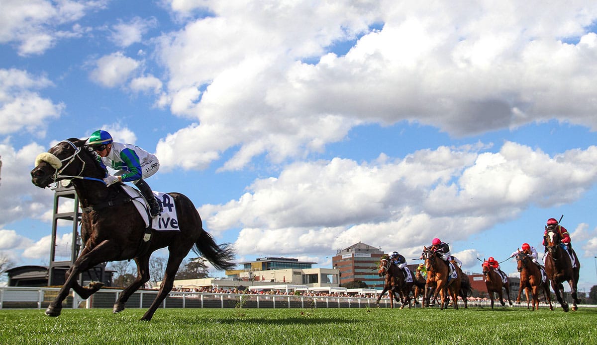 Chittick eyeing Cox Plate with I Wish I Win