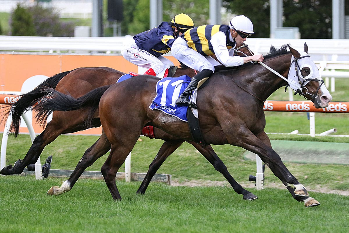 I’m Thunderstruck thriving ahead of Makybe Diva