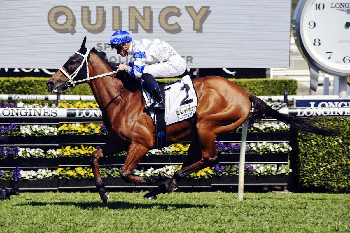 Kolding on track for Tramway