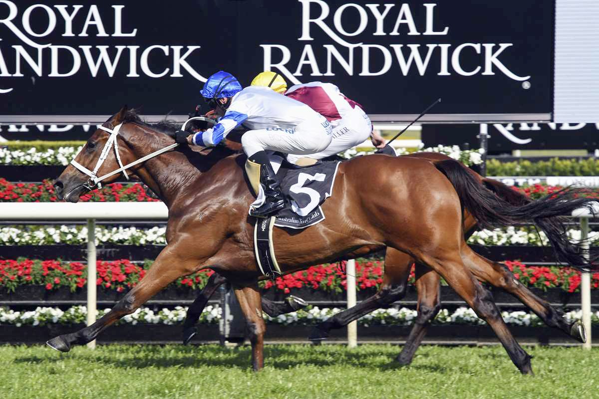 Kolding to resume at Rosehill