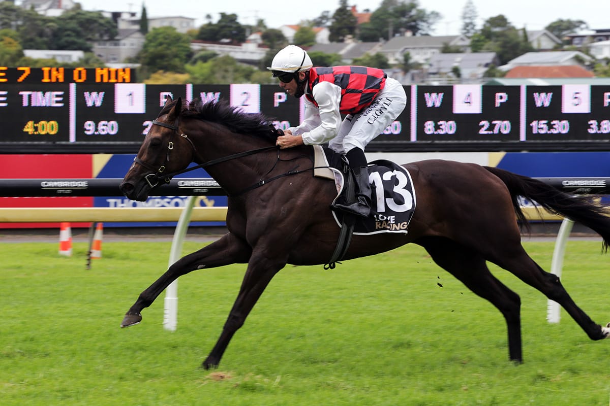 La Crique to head back to Hastings