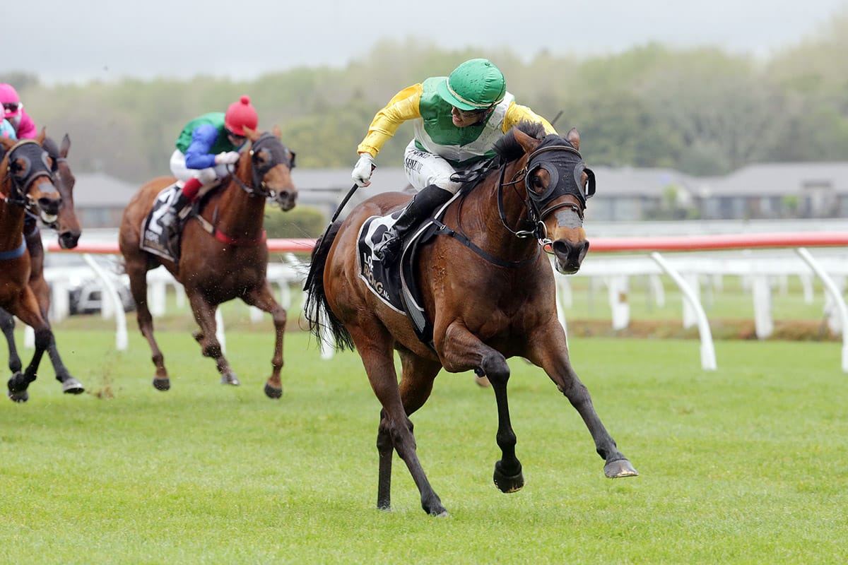 Retirement looms for Te Rapa winner