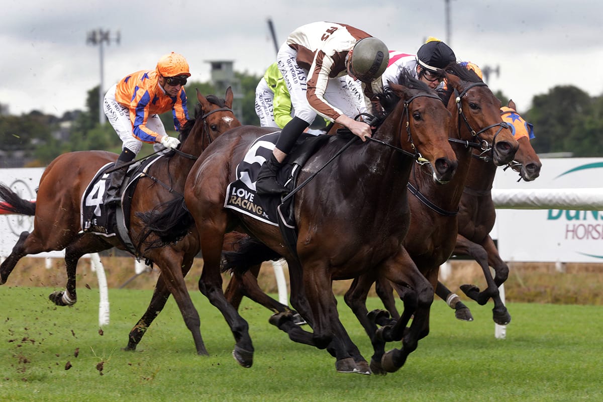 Classy 3YO Legarto resumes a winner