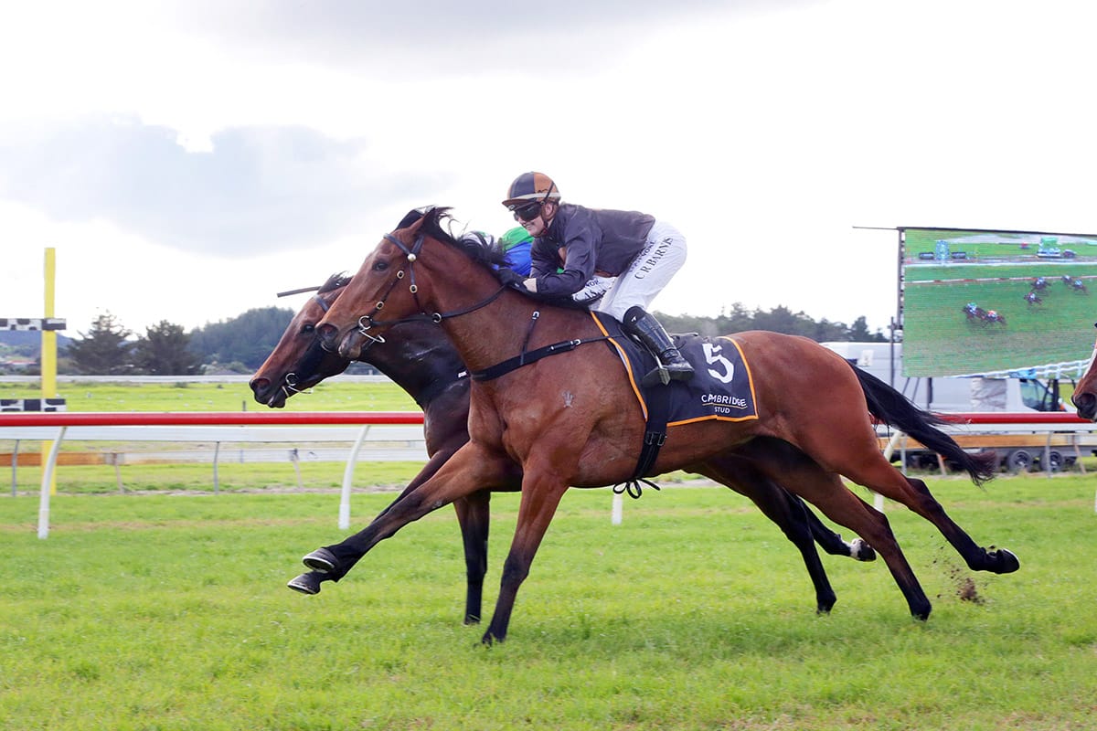 Group One filly to make Australian debut