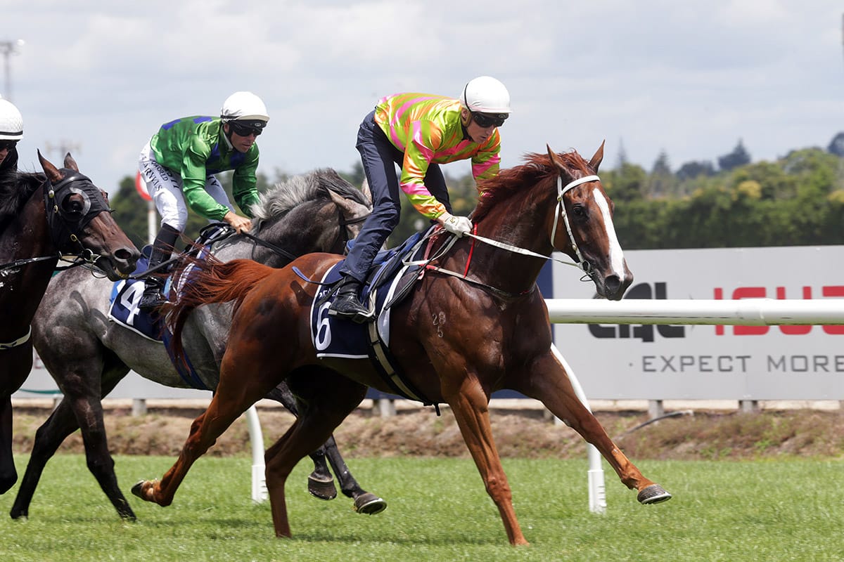 Group One hopes spearhead big Hastings team