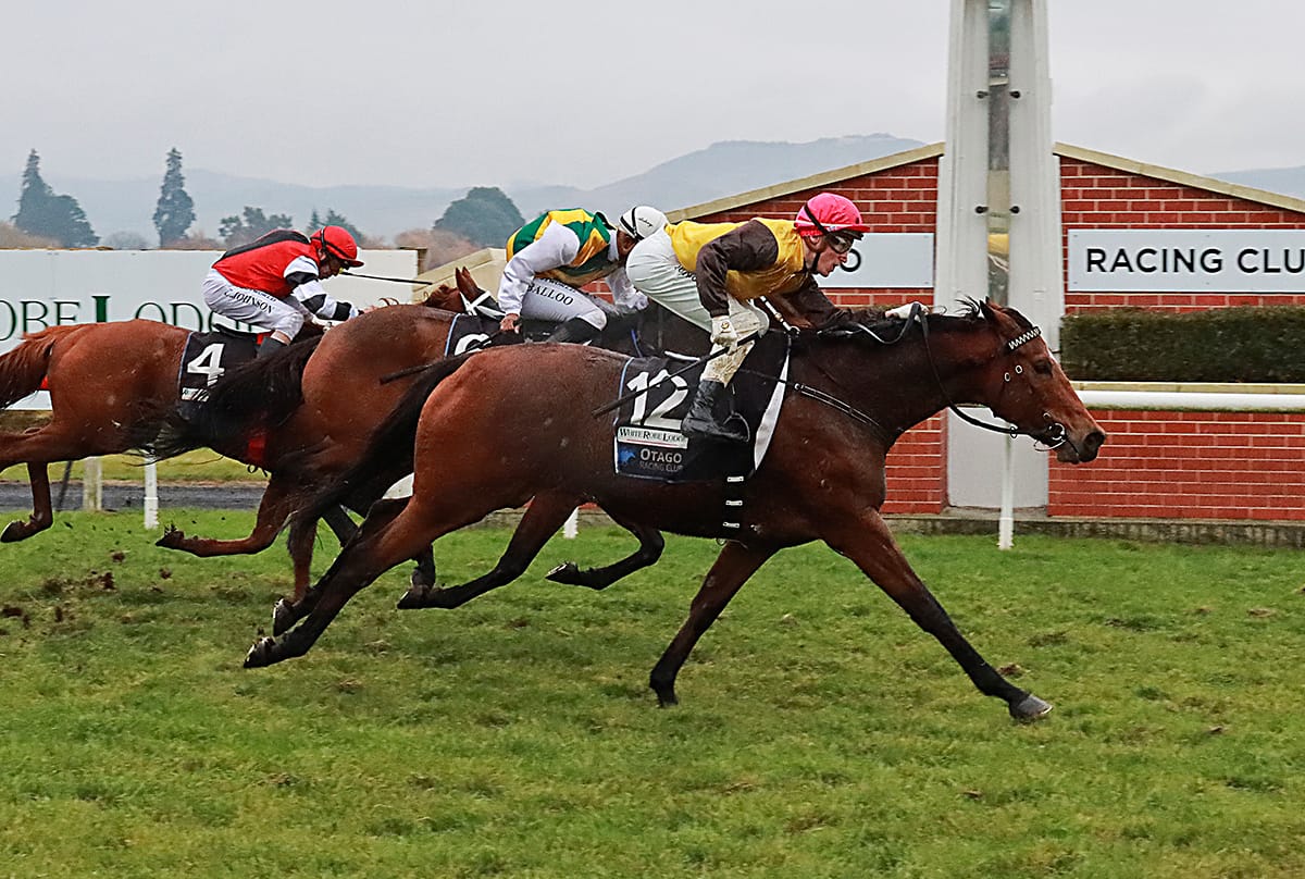 Century on home turf beckons Kennedy