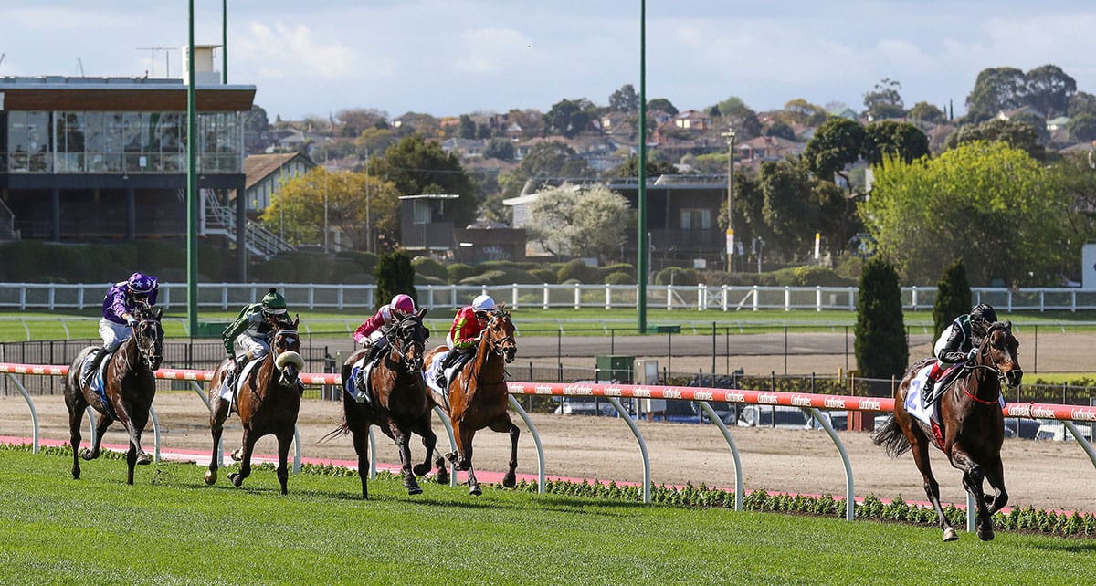 Mr Brightside a class above in Feehan