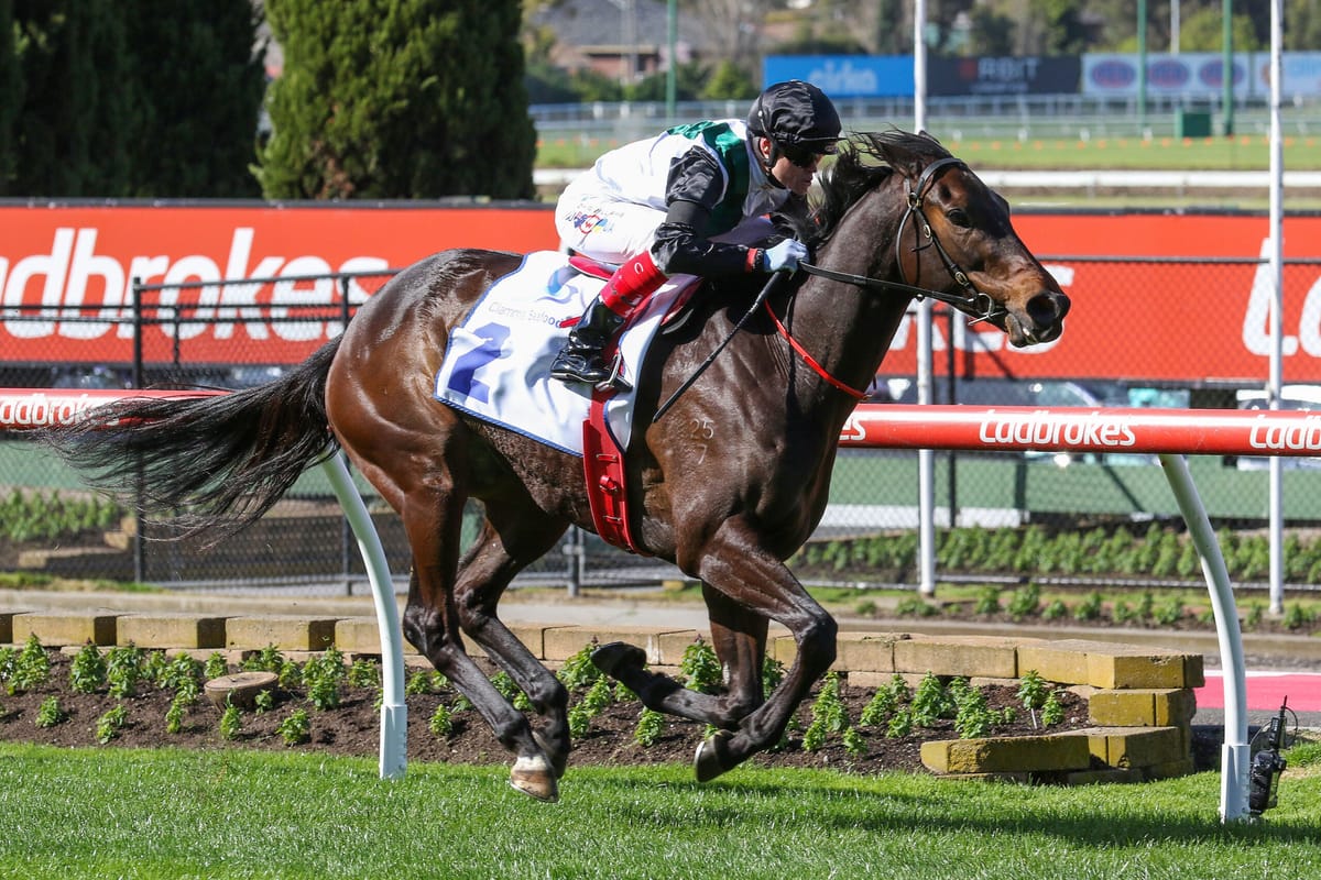 Hayes brothers seeking to extend family dynasty