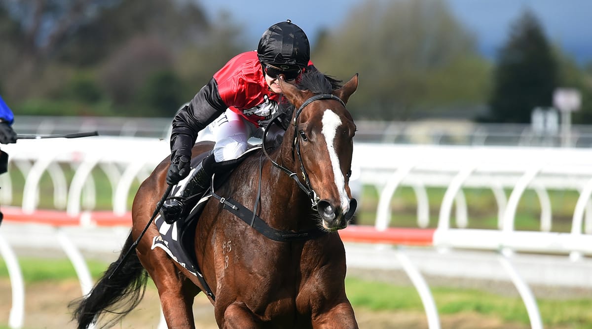 Mustang Valley excels in Awapuni feature