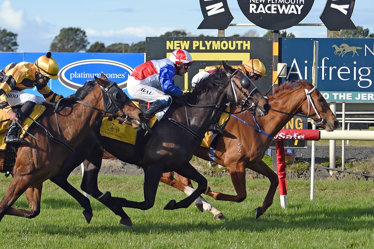 No Loitering produces front-running gem at New Plymouth