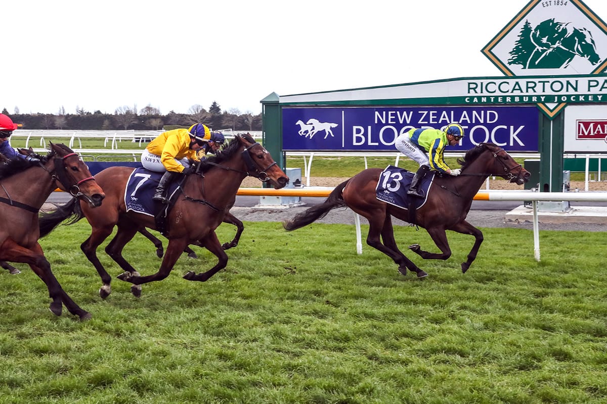 One Kiss looking to stamp her mark at Ashburton