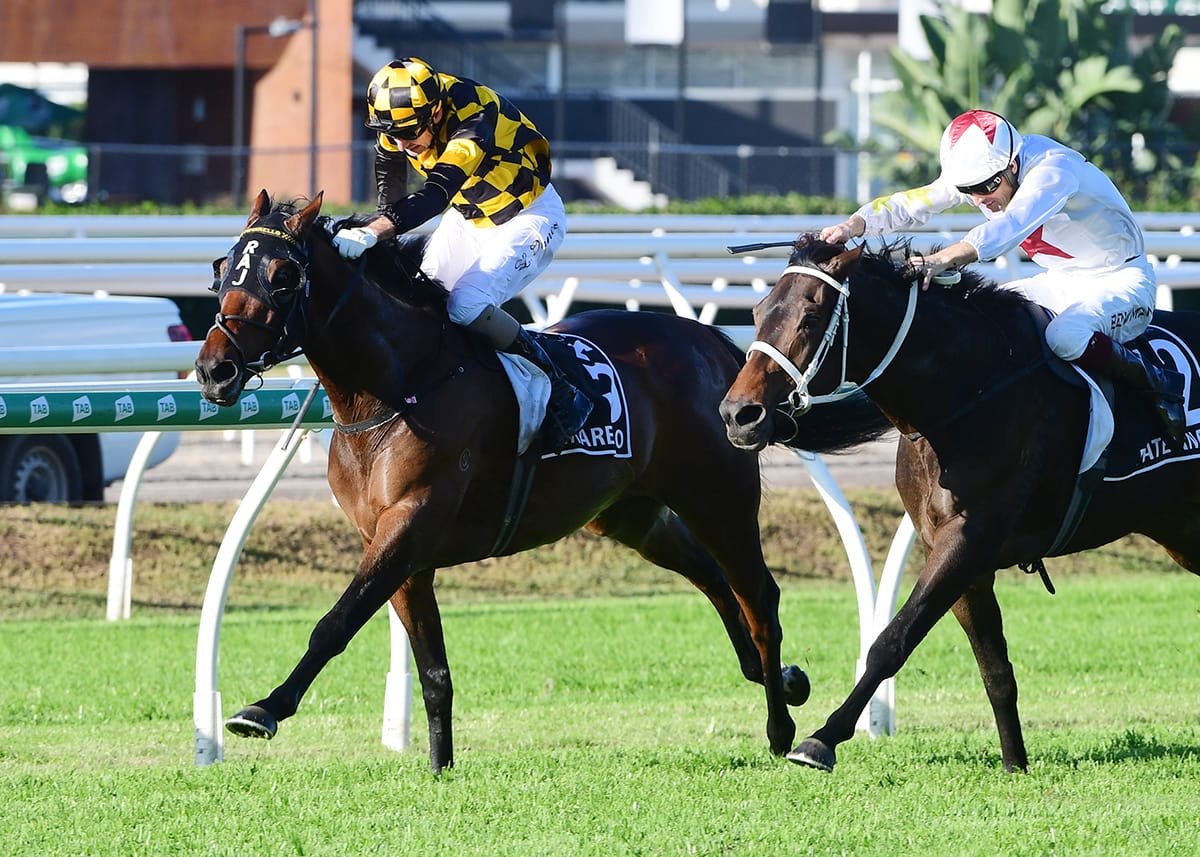 Pinarello in prime order for Craven Plate