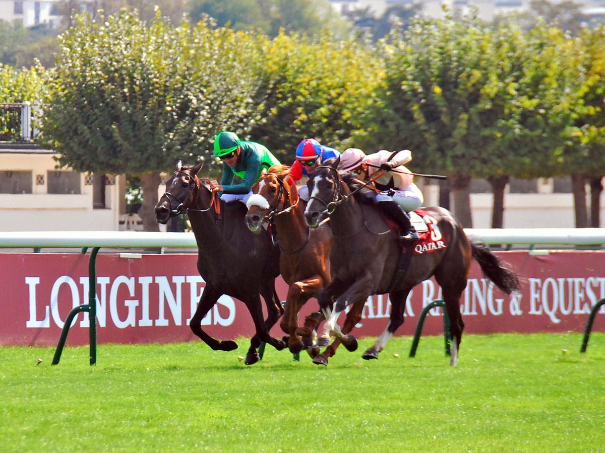 Arc dream over for Verry Elleegant