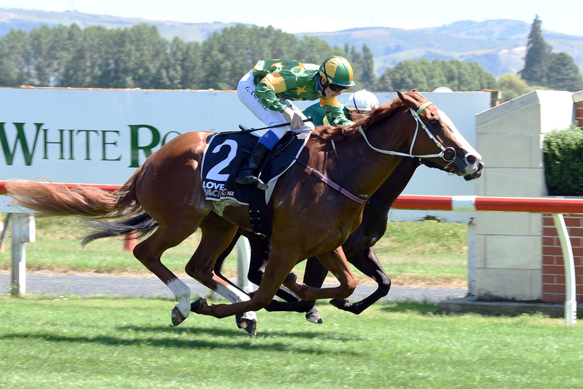 Gore return for promising Ruby's Lad 