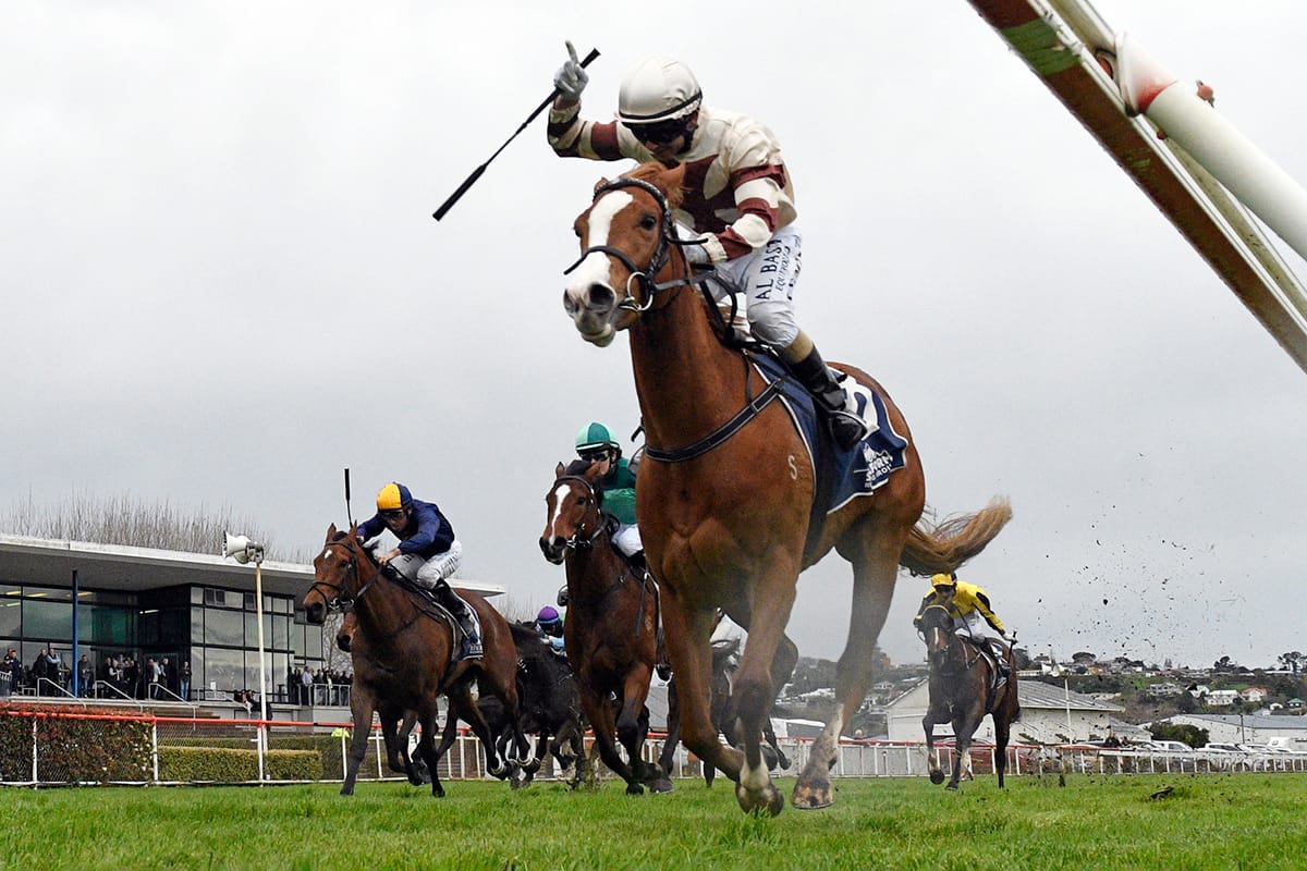 Sheez Dominant seeking Guineas double