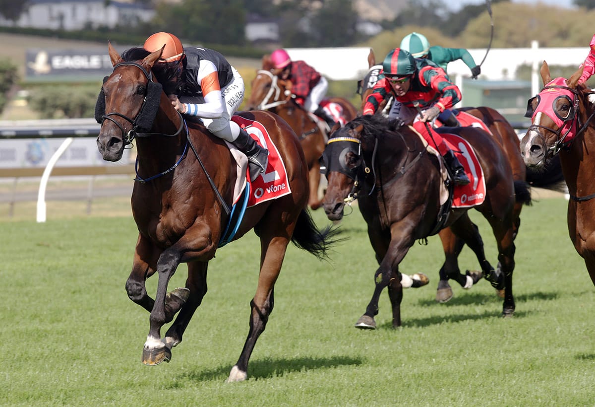 Sherwood Forest readying for raceday return