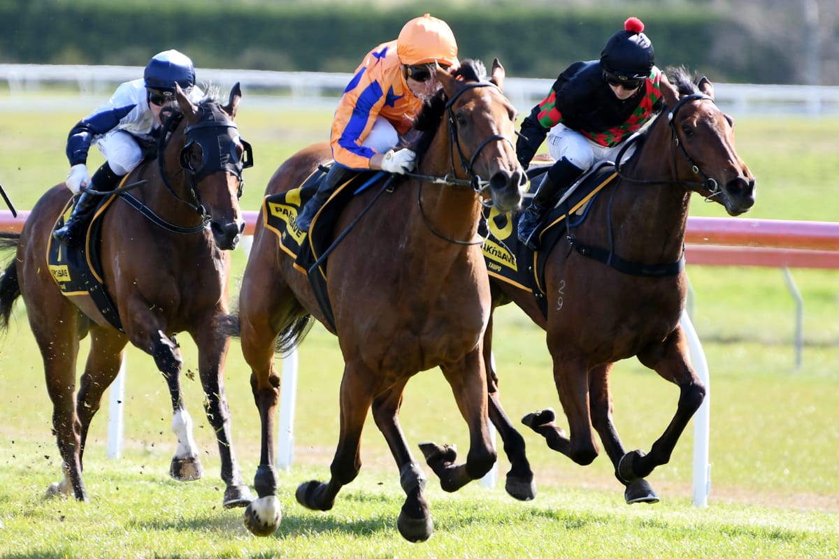 Tough decision looming for Bosson