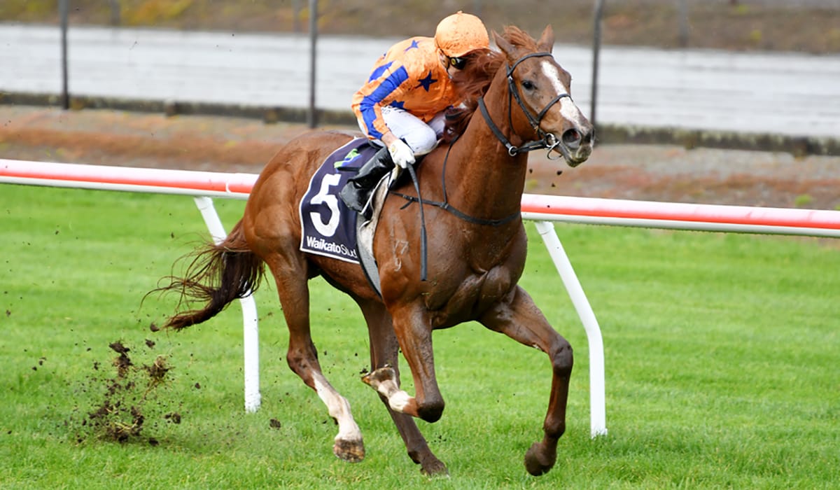 Te Akau continue home ground dominance