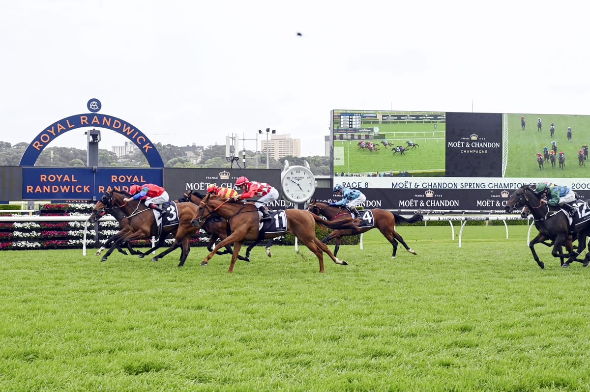 Sharp ‘N’ Smart all heart in Spring Champion