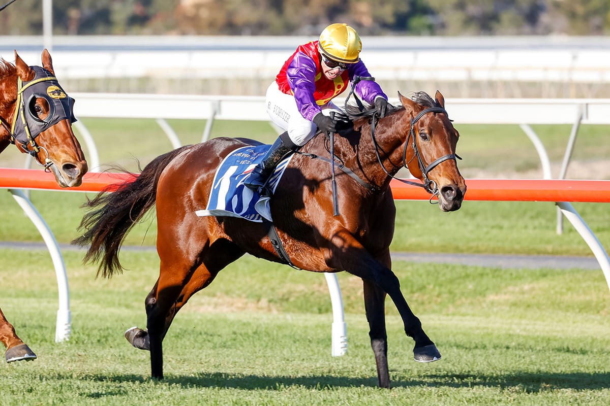 Invitation delight for Kiwi mare