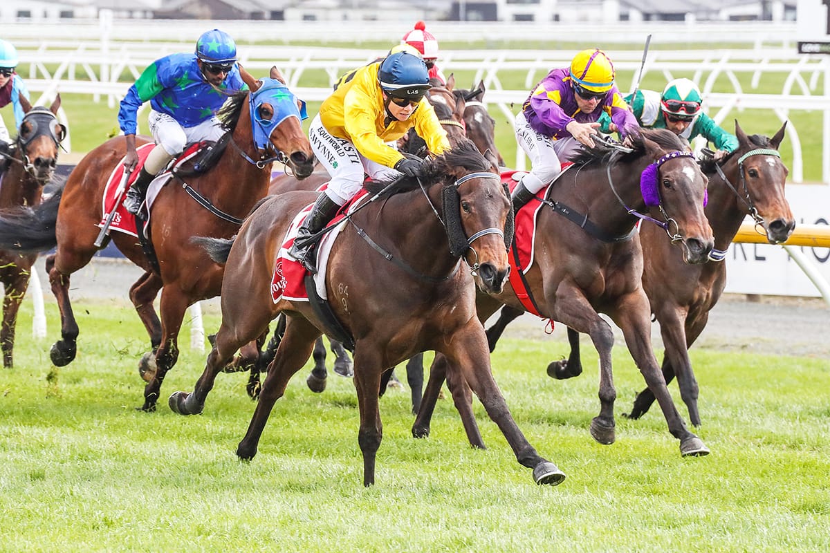 Blue Solitaire on 1000 Guineas path