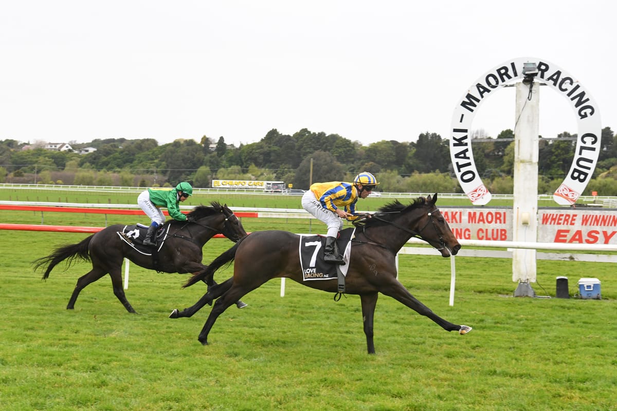 Patterson aiming high with Trentham hopes