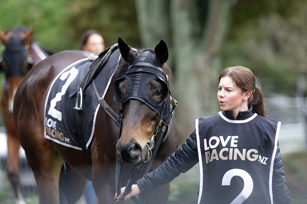 Wellington Cup target for Coruba Jak