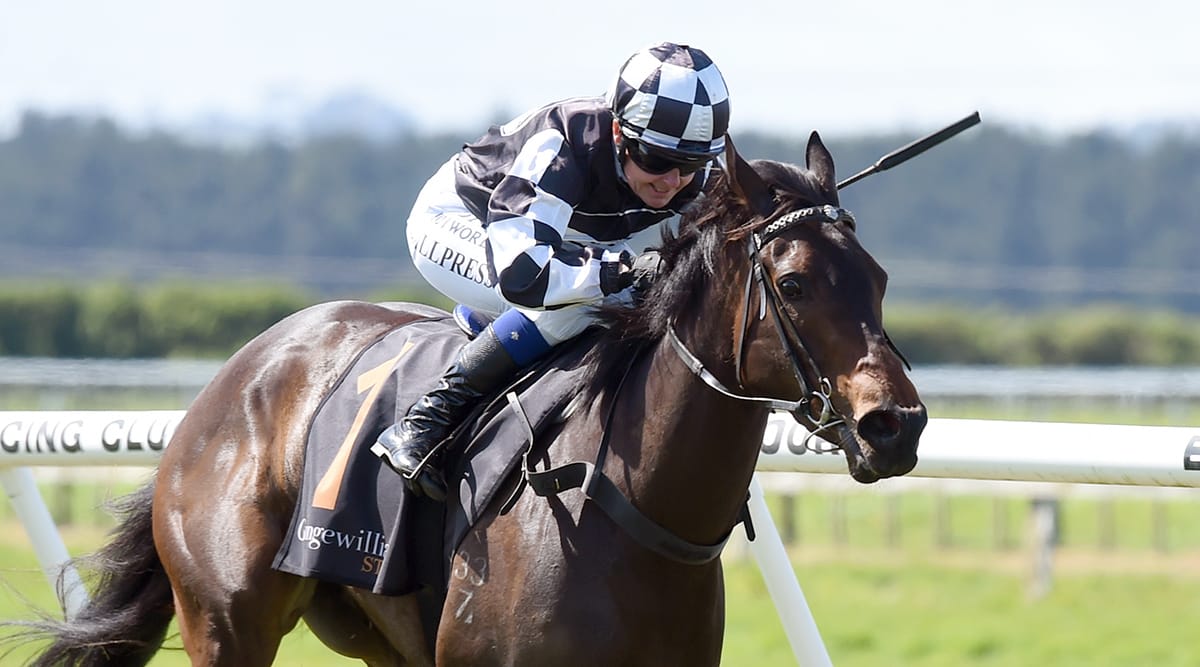 Darci La Bella adds stakes victory to burgeoning record