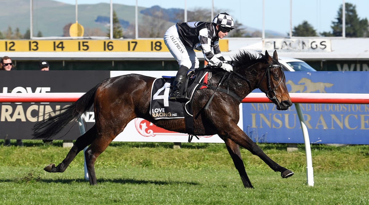 Distance the only query with Darci La Bella