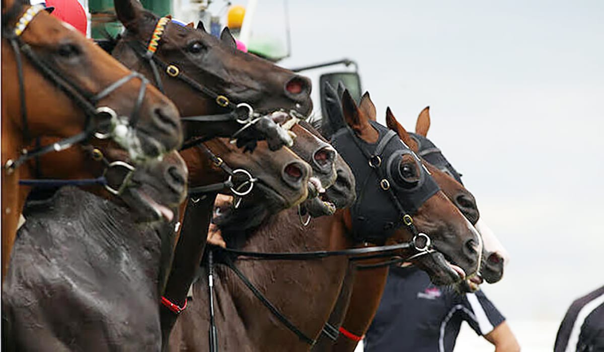 <strong>Waikato meeting deferred to Friday</strong>