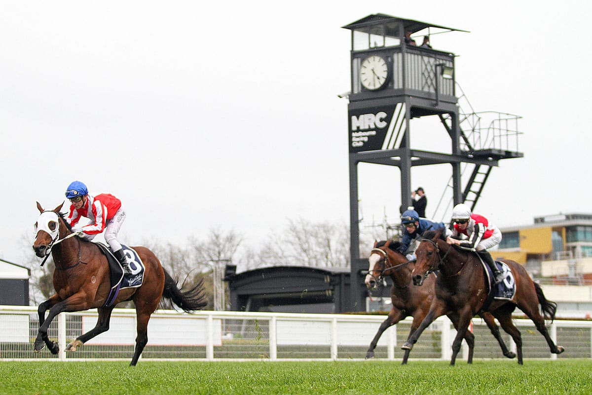 Kiwi-bred makes Grand Impact at Caulfield