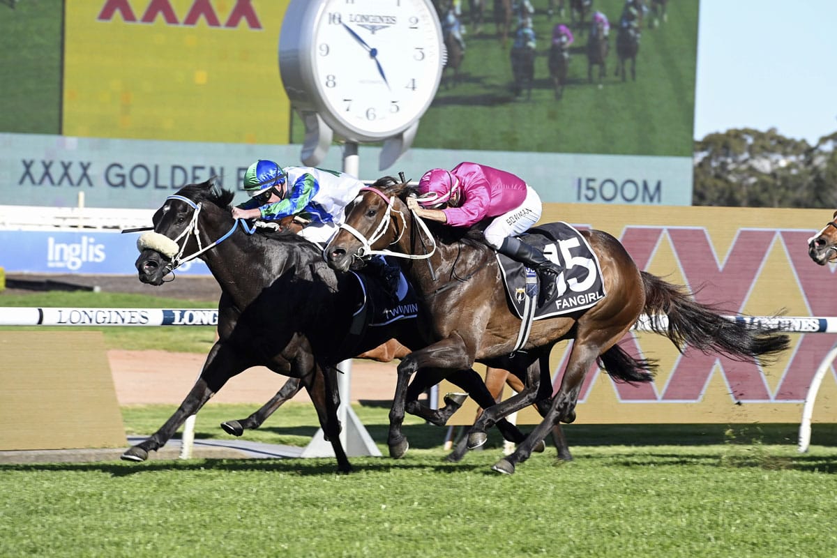 I Wish I Win delivers golden glow for Waikato Stud