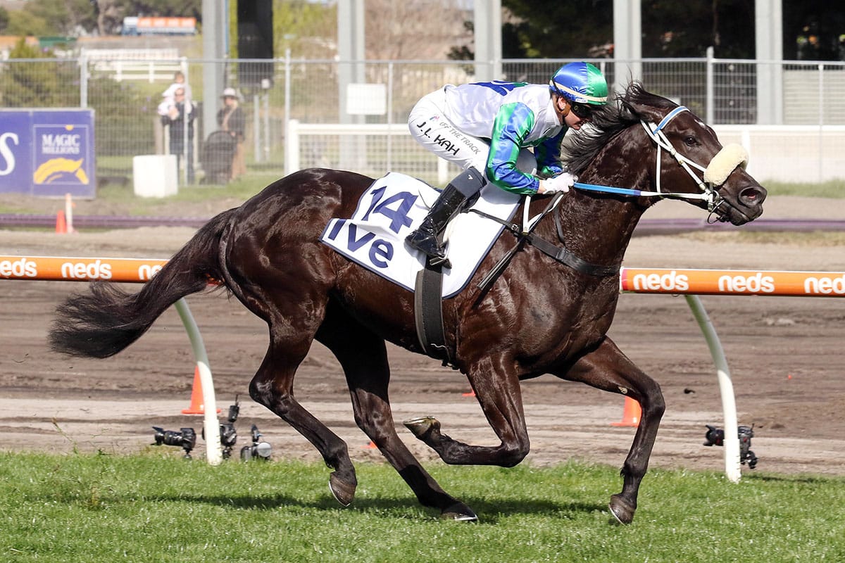 I Wish I Win primed for Golden Eagle