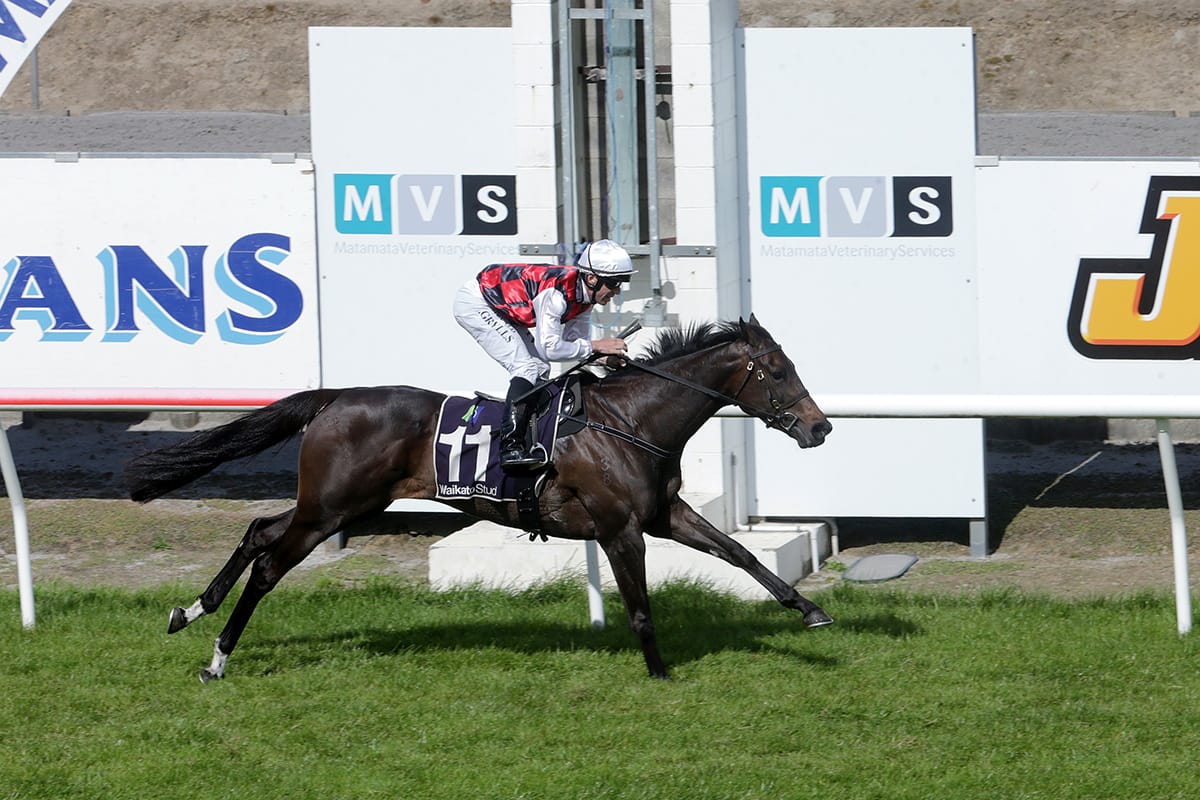 <strong>Thorndon history not lost on Alexanders</strong>