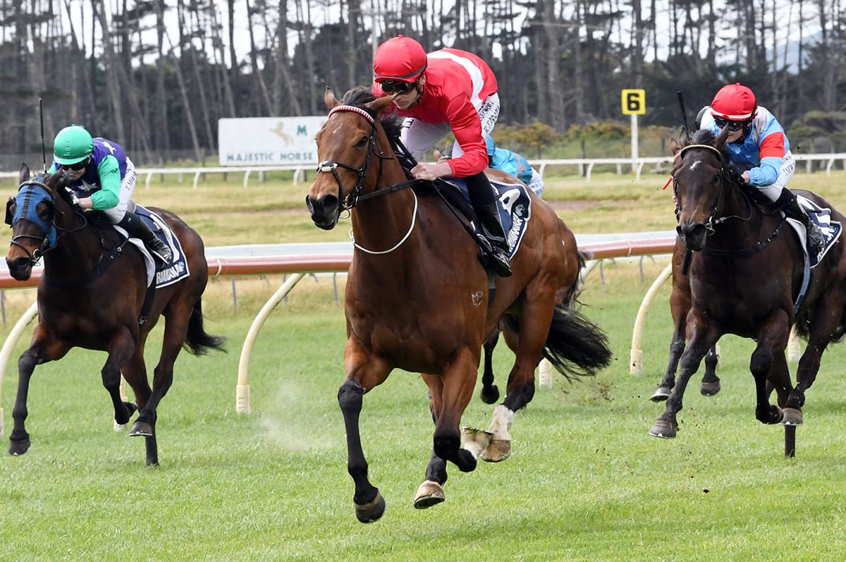 Long path to races for La Verite