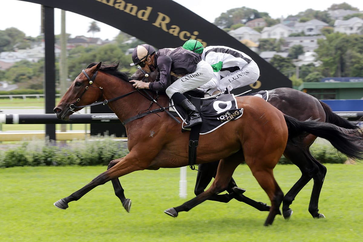 Kiwi filly to chase massive bonus