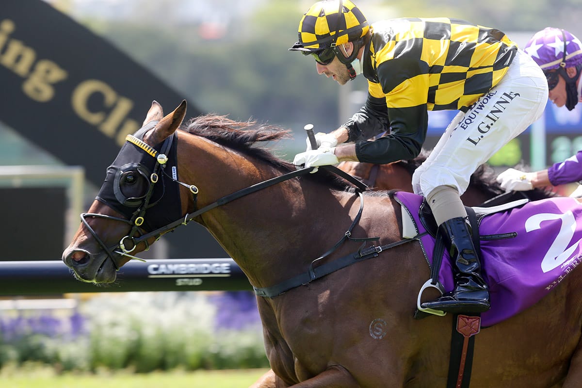 Marchand primed to bounce back