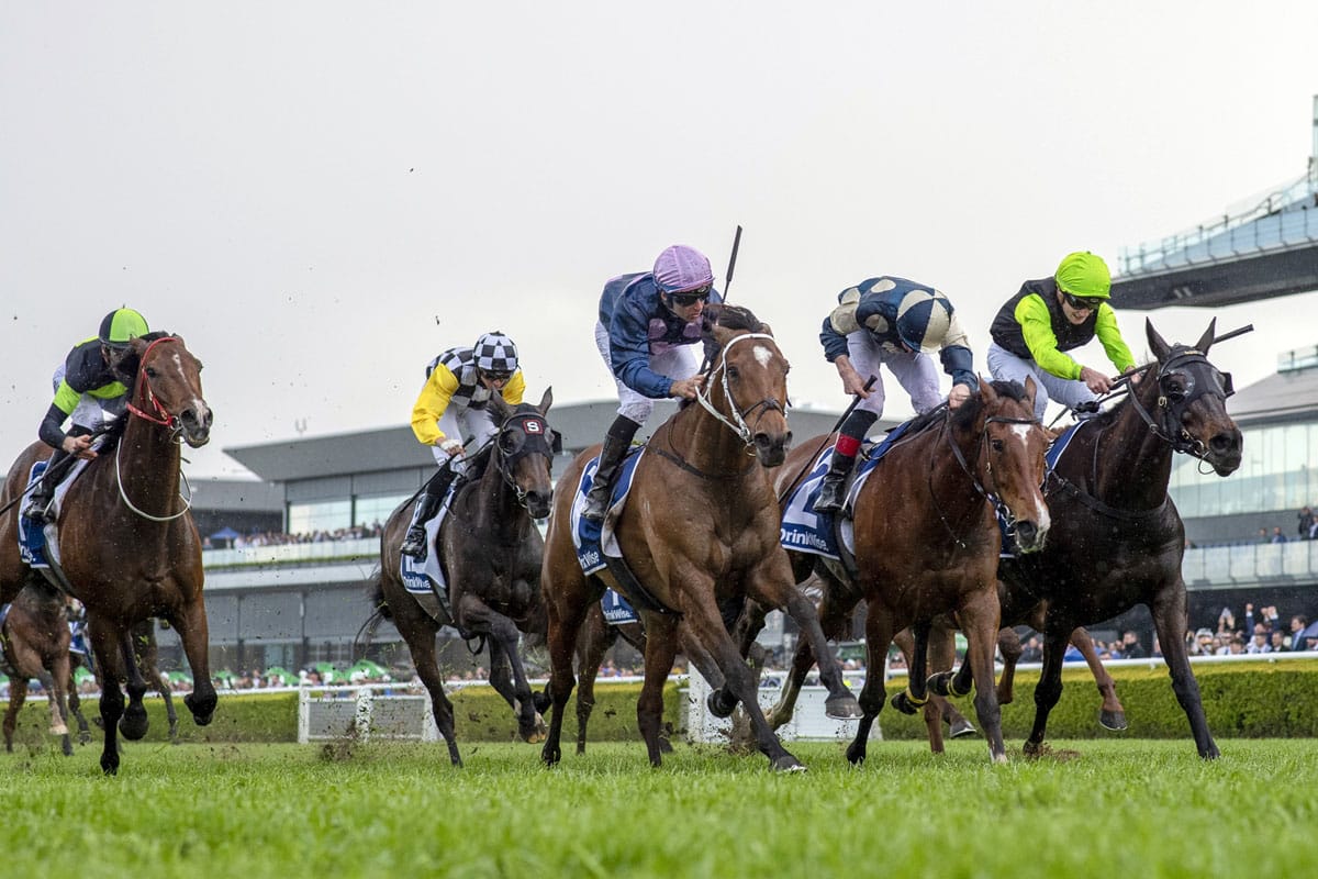 No Compromise making dreams a reality