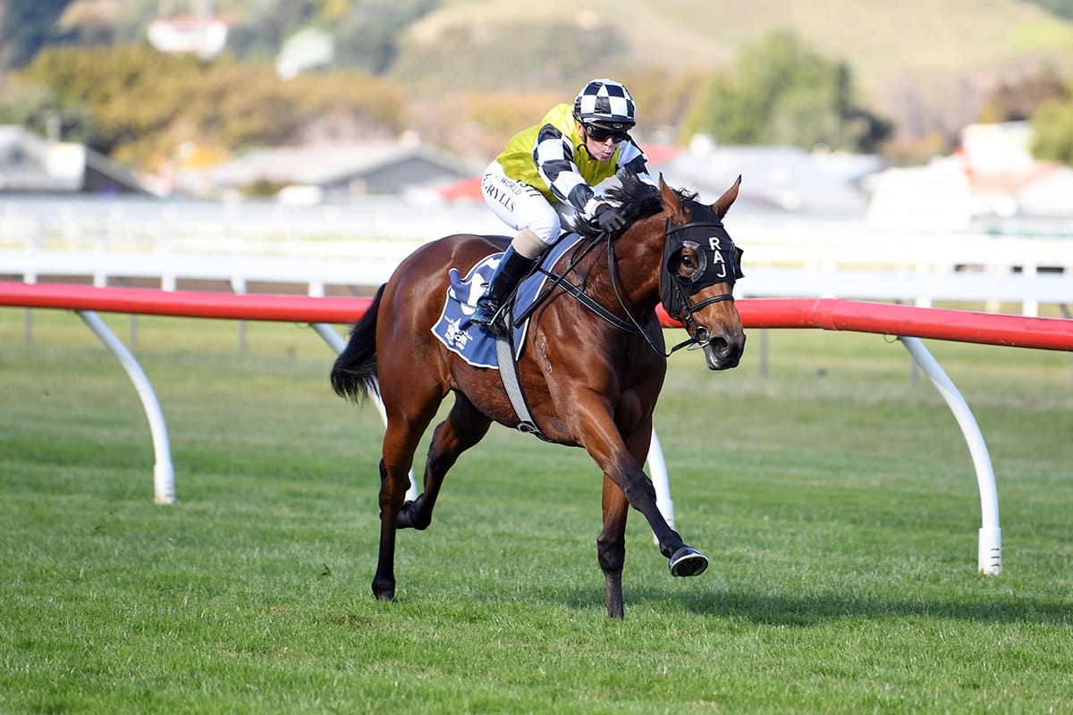 Elliot picks up top Group One ride