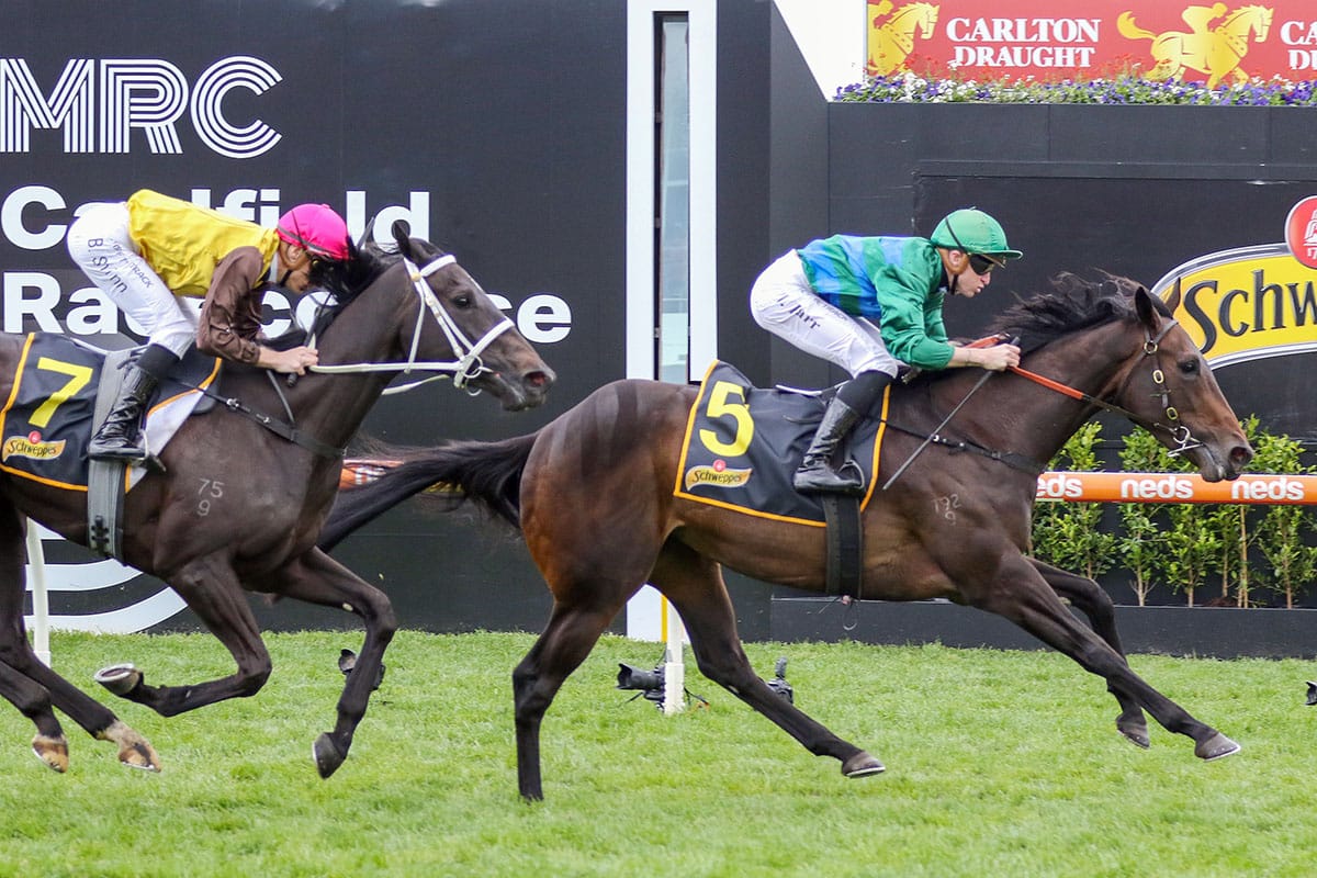 Renaissance Woman out to continue spring form